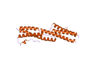 2iak: Crystal Structure of a protease resistant fragment of the plakin domain of Bullous Pemphigoid Antigen1 (BPAG1)