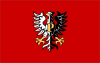 Bendera Powiat Płock