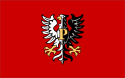 Distretto di Płock – Bandiera