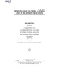 Миниатюра для Файл:PROSECUTING IRAQI WAR CRIMES- A CONSIDERATION OF THE DIFFERENT FORUM OPTIONS (IA gov.gpo.fdsys.CHRG-108shrg88244).pdf