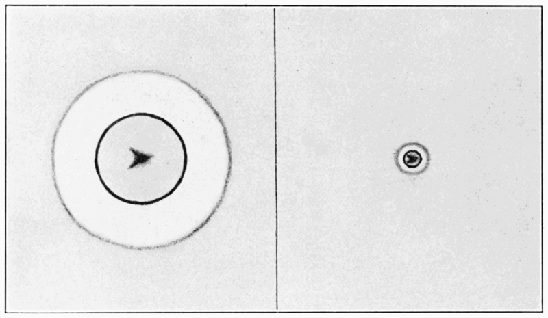 File:PSM V70 D472 Illusion of the position of a mote in the eye.png