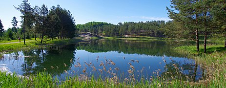 Palalinna järv