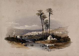 Palm trees at Jenin, possibly the site of ancient Jezreel. C Wellcome V0049488.jpg