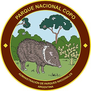 <span class="mw-page-title-main">Copo National Park</span>