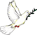 The dove is the symbol of the Covington family. It has inspired me to strive for civility. I take complete responsibility for my actions. Please contact me if you have any concerns.