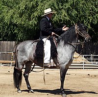 Paso Peruano.jpg