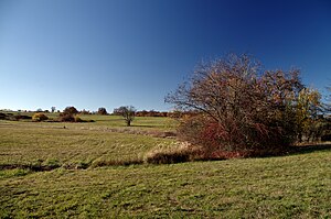 Pfinzquellen near Straubenhardt.jpg