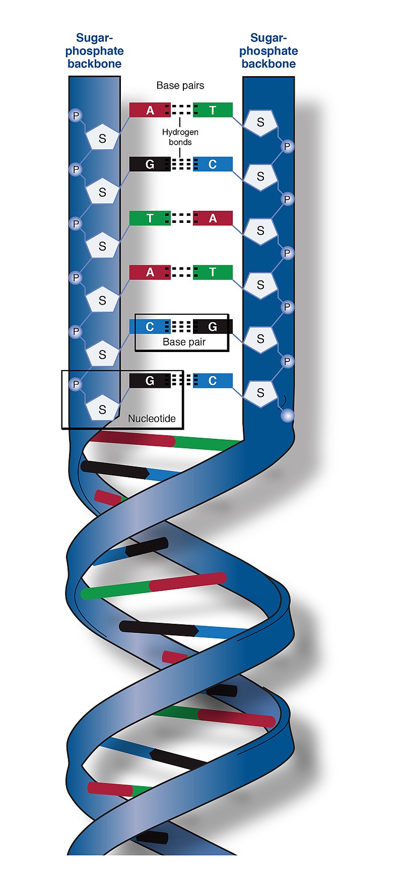 Backbone One - Wikipedia