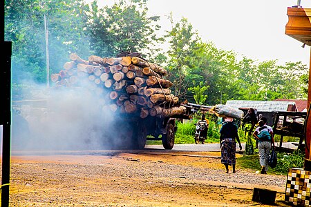 Photo of a laden lorry transporting woods Photographer : User: Yemi festus