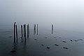 Image 738Pier in a foggy morning, Lubec, Maine, US