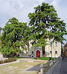 Pinacoteca Tosio Martinengo