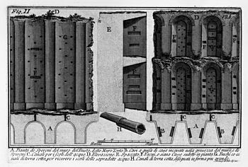 Tav. XI, fig. 2