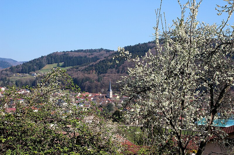 File:Printemps 2019 15 Avril (26) (47035526554).jpg