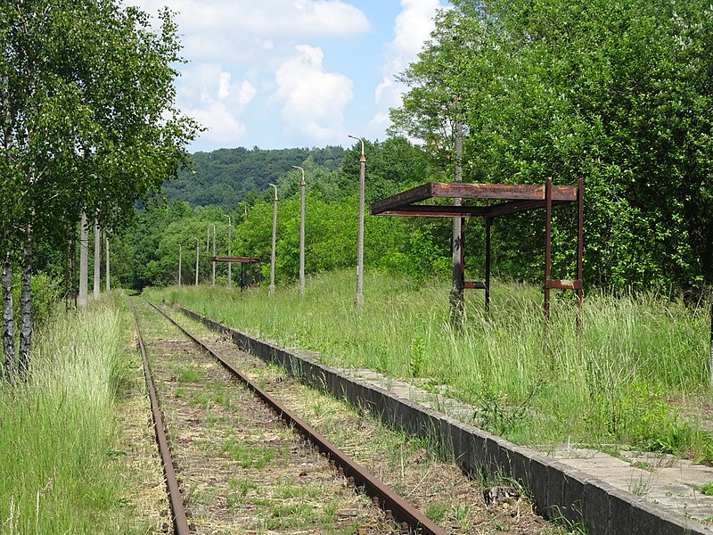 File:Przystanek kolejowy Alwernia.jpg