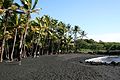 * Nomination Punaluu Black Sand Beach, Hawaii, USA --Poco a poco 22:00, 8 January 2012 (UTC) * Decline Too bright - overexposure on the waves and cyan sky. --Mattbuck 14:05, 14 January 2012 (UTC)