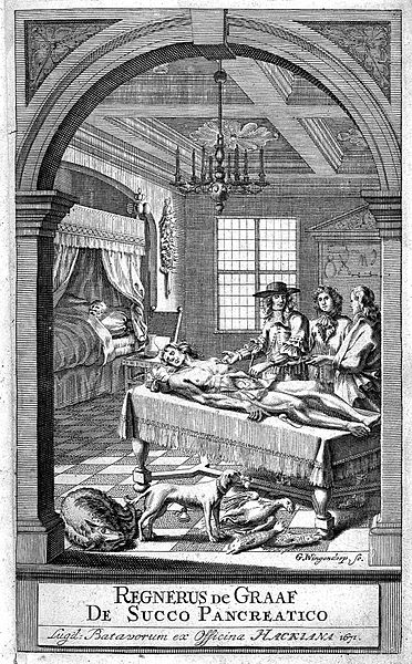 File:R. de Graaf, Demonstration of pancreas. Wellcome L0000618.jpg