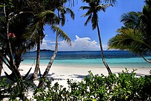 Coconut trees in the island. Rawa Island, Johor, Malaysia (II).jpg