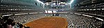 Reliant Stadium Houston Rodeo.jpg