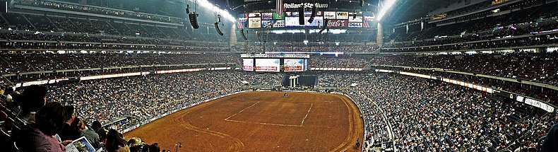 Reliant Stadyumu Houston Rodeo.jpg