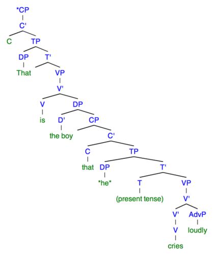 Sentence 3B: This syntactic tree of the sentence "*That is the boy that he cries loudly" demonstrates the structure when there is resumptive pronoun used. To denote a null category, "o" is used. the "*" marks an ungrammatical sentence. Resumptive pronoun Sentence 4b(2).png