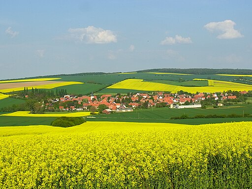 Rhoden (Osterwieck)