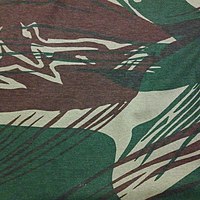 Rhodesian Brushstroke pattern.jpg