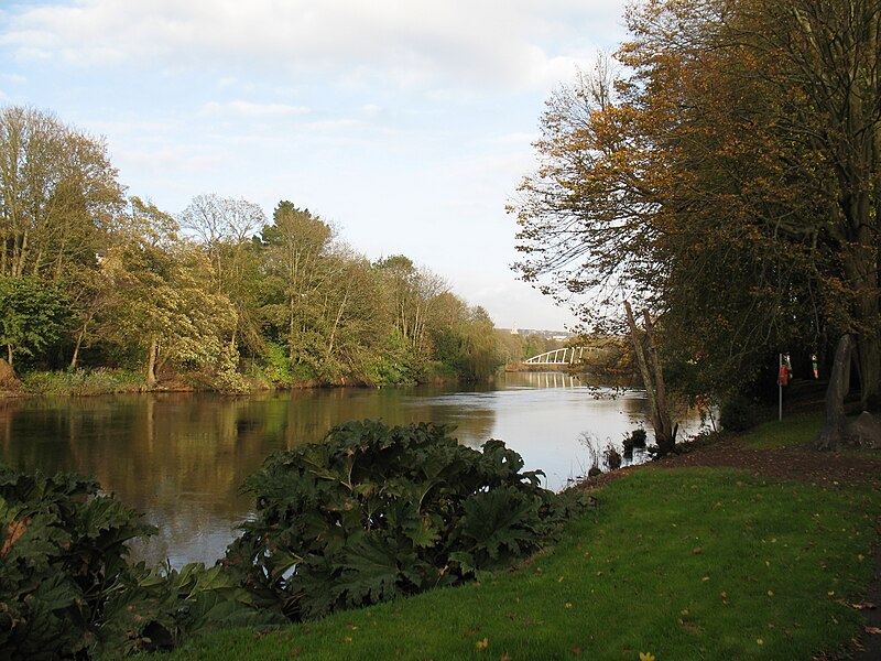 File:River Lee seen from Fitzgerald Park - panoramio (4).jpg