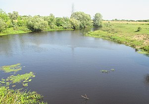 Річка поблизу села Бродець