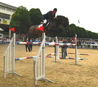Robert Smith (equestrian) British show jumper