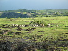 A treeless landscape from the island