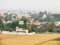 Rolu Majra, Punjab 140103, India - panoramio (10).jpg