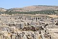 * Nomination This picture captures the vastness of the Roman ruins at Volubilis outside Meknes, Morocco. By User:Madison0919 --Reda benkhadra 20:38, 23 September 2016 (UTC) * Decline Less than 2 MP. --Basotxerri 20:51, 23 September 2016 (UTC)