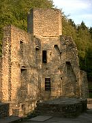 12.9.06 Ruine Hardenstein