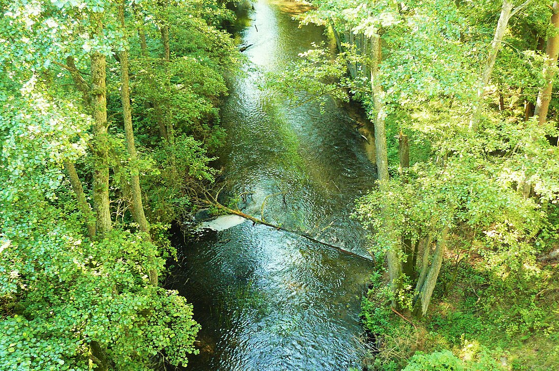 Rurzyca (suba sa Polskowa, Województwo Wielkopolskie)