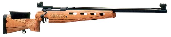 600px-SIG_Sauer_200_STR.jpg