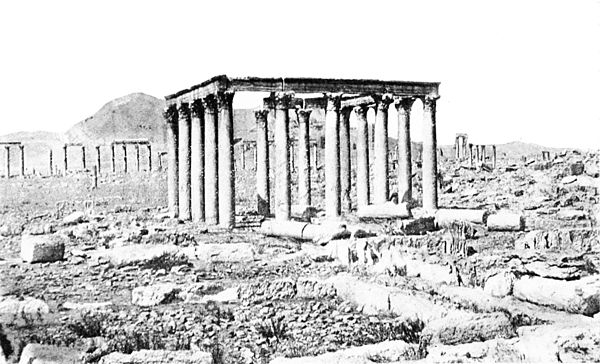 A few of the ruins which crowd the site of ancient Palmyra