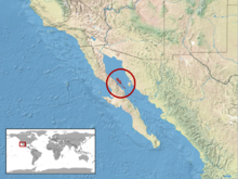 Sauromalus hispidus Distribution.png