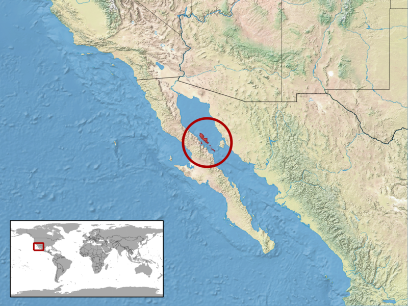 File:Sauromalus hispidus distribution.png