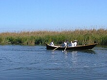 Coastal Scouts were hardened seamen who Barnwell had to enlist to help him build Fort King George while his troops recovered from illness back in Port Royal. Scouts Rowing Fort King George Boat.jpg