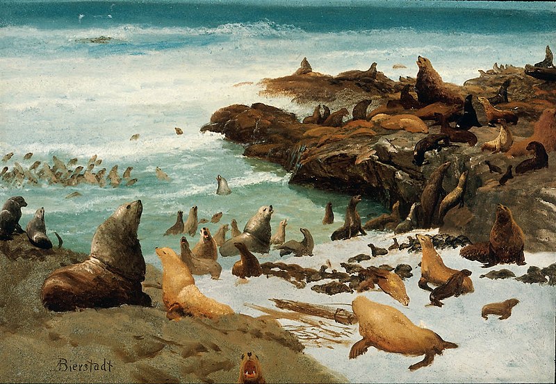 File:Seal Rocks, Farallons 1872 Albert Bierstadt.jpg