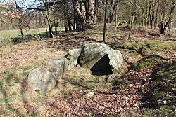 Neolithisches Langbett A (Horneburg 2) bei Daudieck. Im Vordergrund ist der Rest der Grabkammer zu sehen.