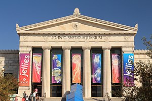 Shedd Aquarium