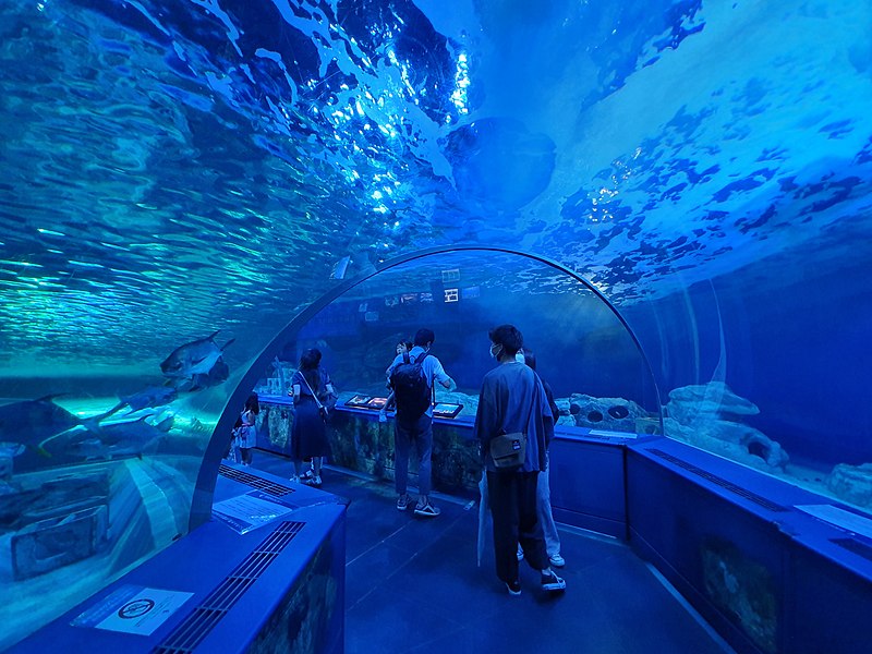 File:Shinagawa Aquarium 51.jpg