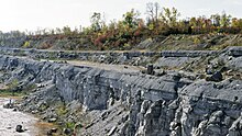 Формация кремнезема (средний девон; Benchmark Materials-France Stone Company Sylvania Quarry, округ Лукас, Огайо, США) 5 (48372697116) .jpg