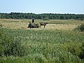 Мініатюра для версії від 18:49, 2 червня 2013