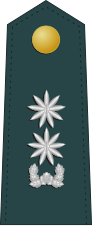 File:SouthKorea-Army-OF-4.svg