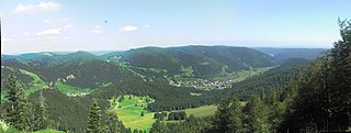 Alb (High Rhine) River in Germany