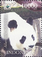 Panda Velká: Etymologie, Taxonomie, Rozšíření a biotop