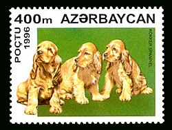 Stamps of Azerbaijan, 1996-404.jpg