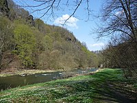 Steinicht między Rentzschmühle i Elsterberg